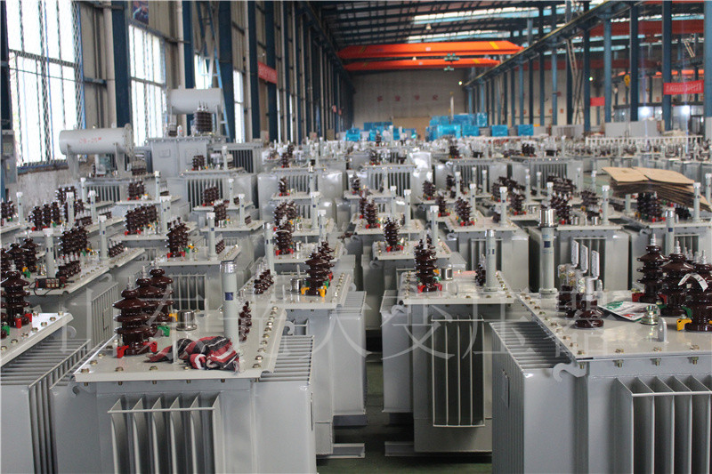 桥西S22-800KVA/10KV